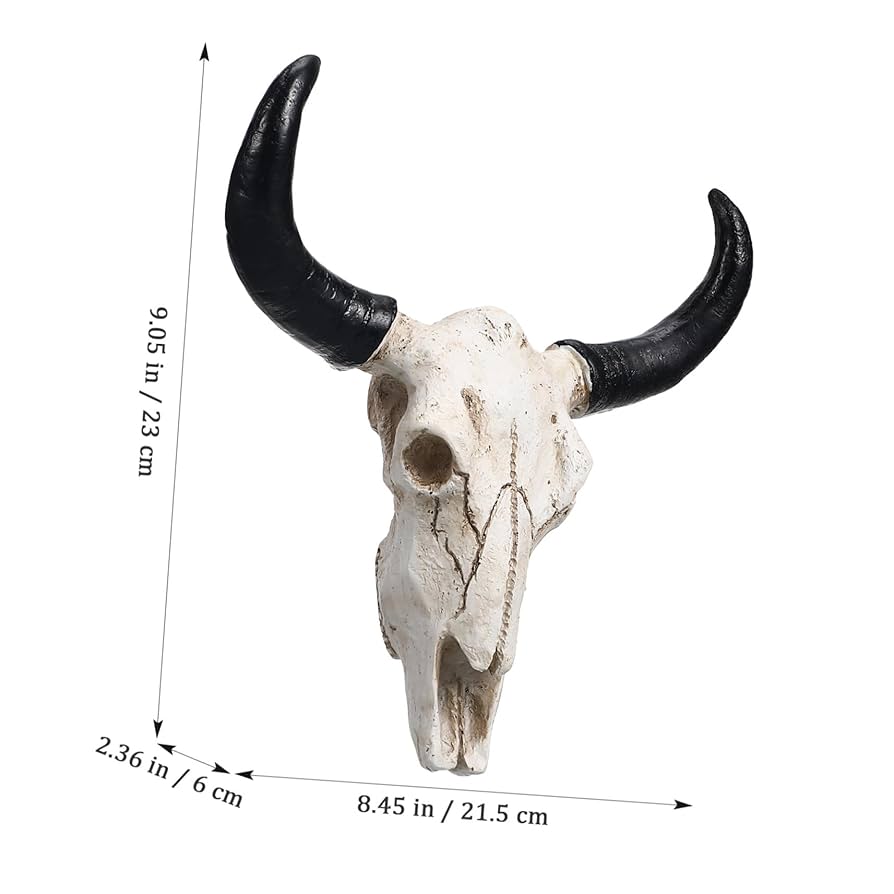 Amazon.co.jp: HOMSFOU 牛 頭蓋骨 壁 アート 雄牛 頭 頭蓋骨 壁